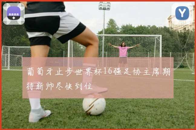 葡萄牙止步世界杯16强足协主席期待新帅尽快到位